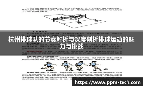 杭州排球队的节奏解析与深度剖析排球运动的魅力与挑战