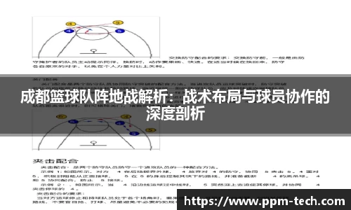 成都篮球队阵地战解析：战术布局与球员协作的深度剖析